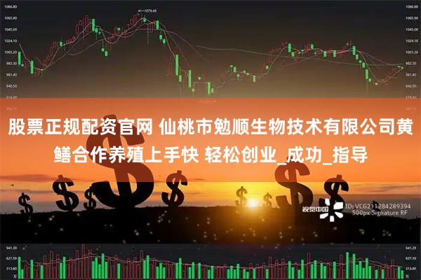 股票正规配资官网 仙桃市勉顺生物技术有限公司黄鳝合作养殖上手快 轻松创业_成功_指导